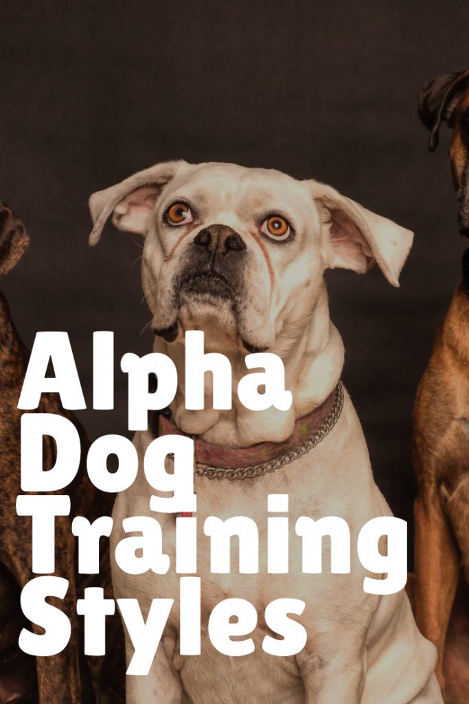 Alpha Dog Training Styles