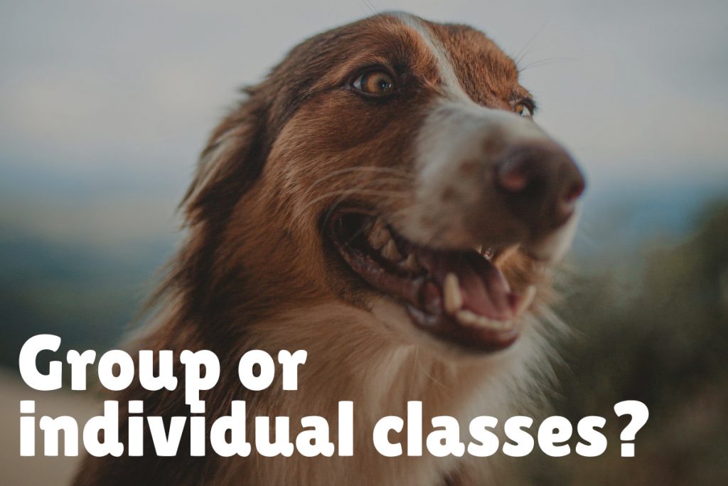 Decide between group or individual classes