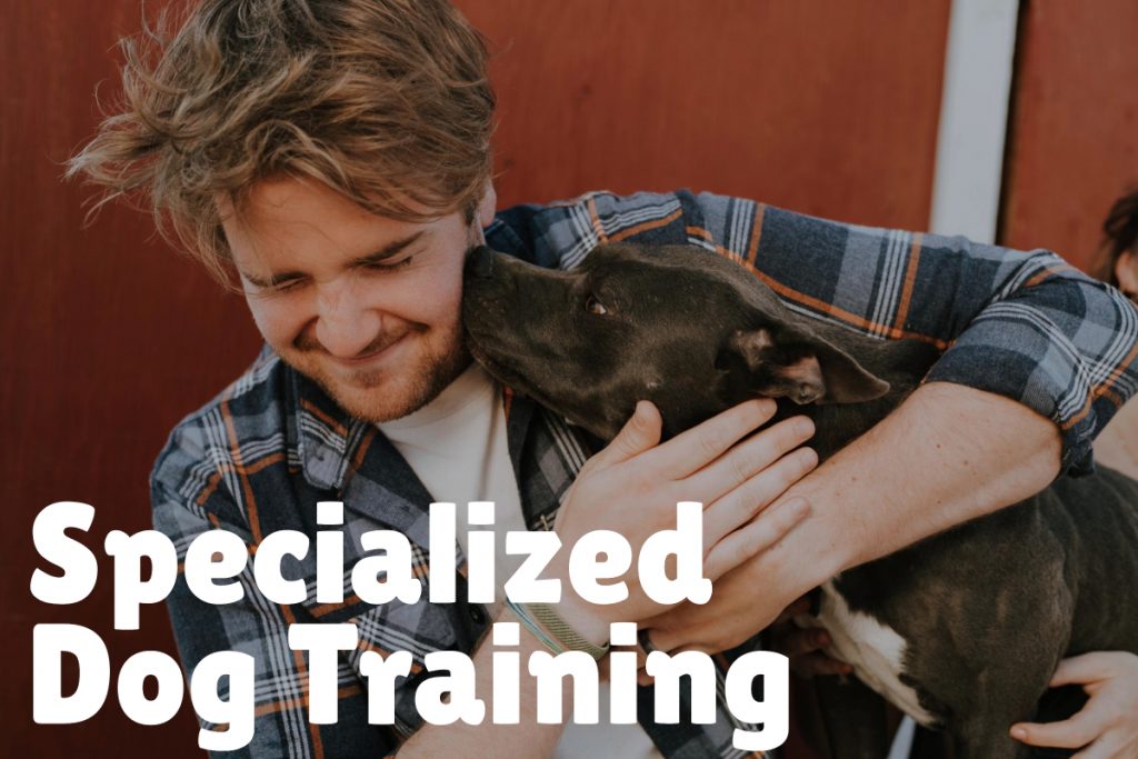 5. Specialized Dog Training 