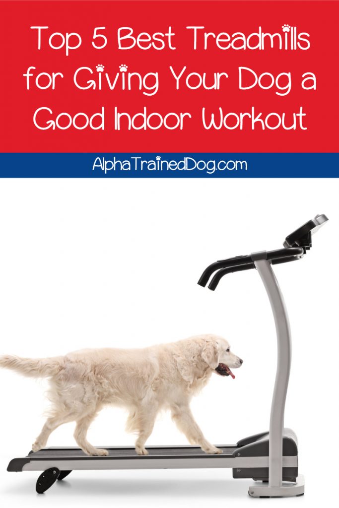Looking for the best dog treadmills to give Fido a workout when he can't go outdoors? Check out our top 5 picks & see why you'd want to buy one in the first place!