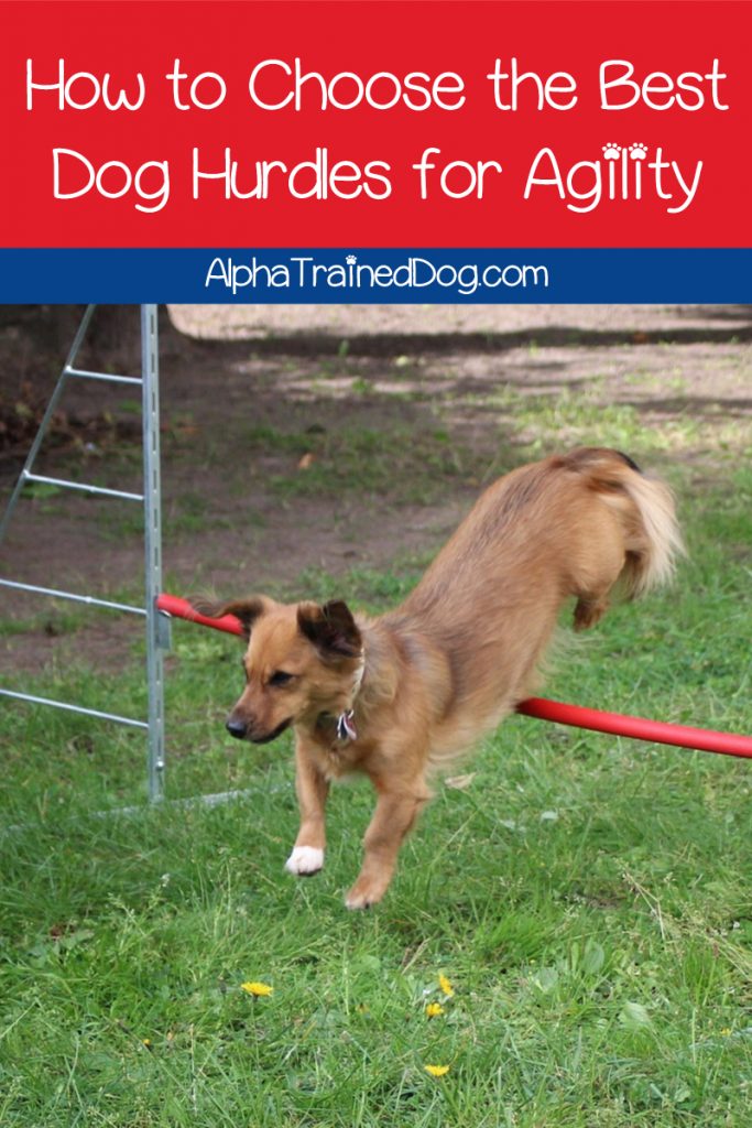 If you're planning on doing agility training with your pup, you'll want to check out my dog hurdle reviews! Take a look!
