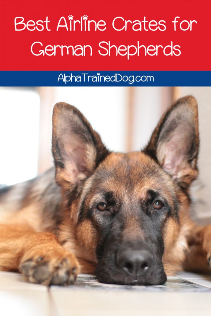 Looking for the best airline crates for German Shepherds? Check out our short list of the ONLY ones we'd recommend, along with what to look for in one.