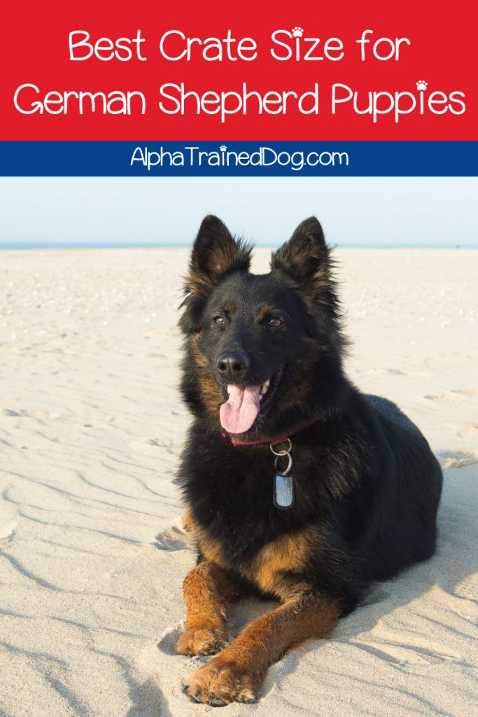 What is the best size crate for a German shepherd puppy? Read on to find out, plus check out five GSD crates that we recommend.