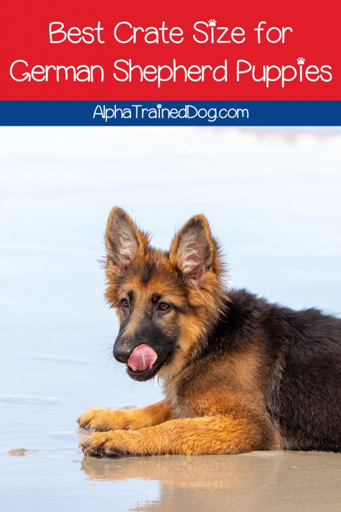 What is the best size crate for a German shepherd puppy? Read on to find out, plus check out five GSD crates that we recommend.