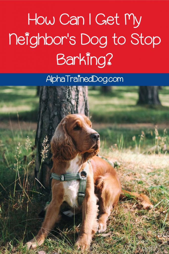 7 Ways To Get Your Neighbor S Dog To Stop Barking Alpha Trained Dog