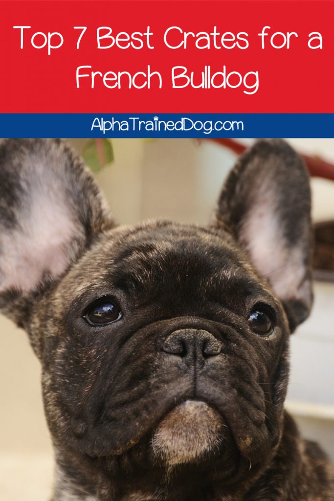 Top 7 Best Crates for French Bulldogs Alpha Trained Dog