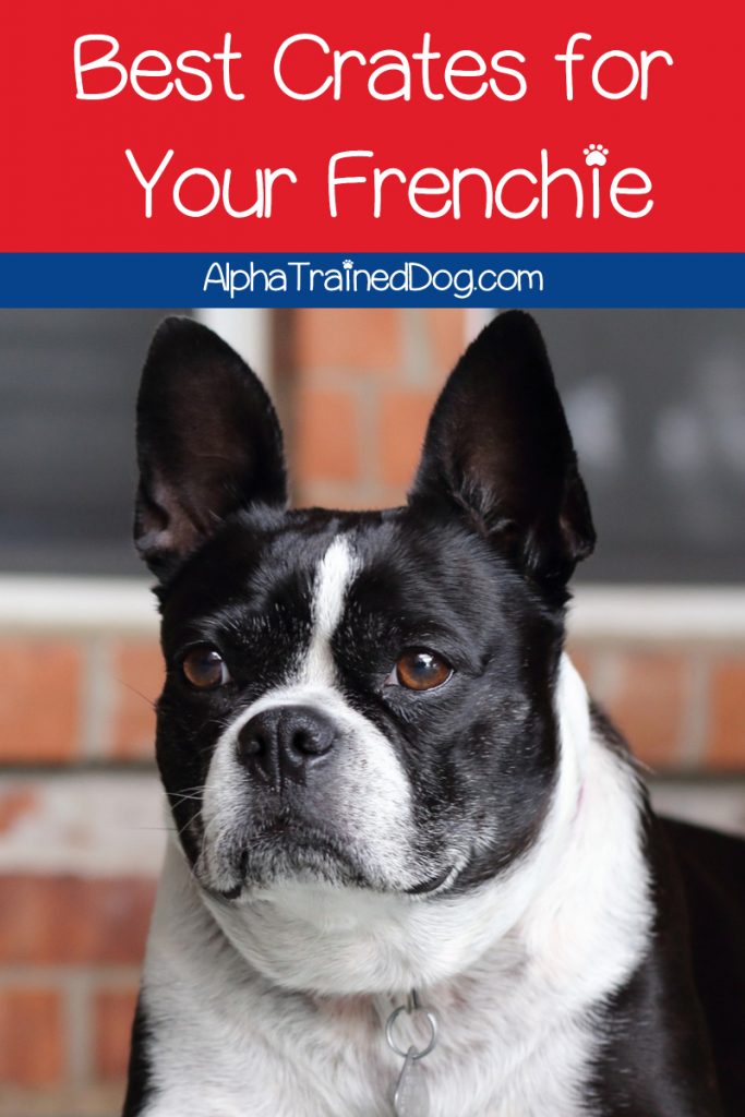 If you're looking for the best crates for French bulldogs, I've got you covered. Check out our top 7 picks, plus learn the right crate size for Frenchies!