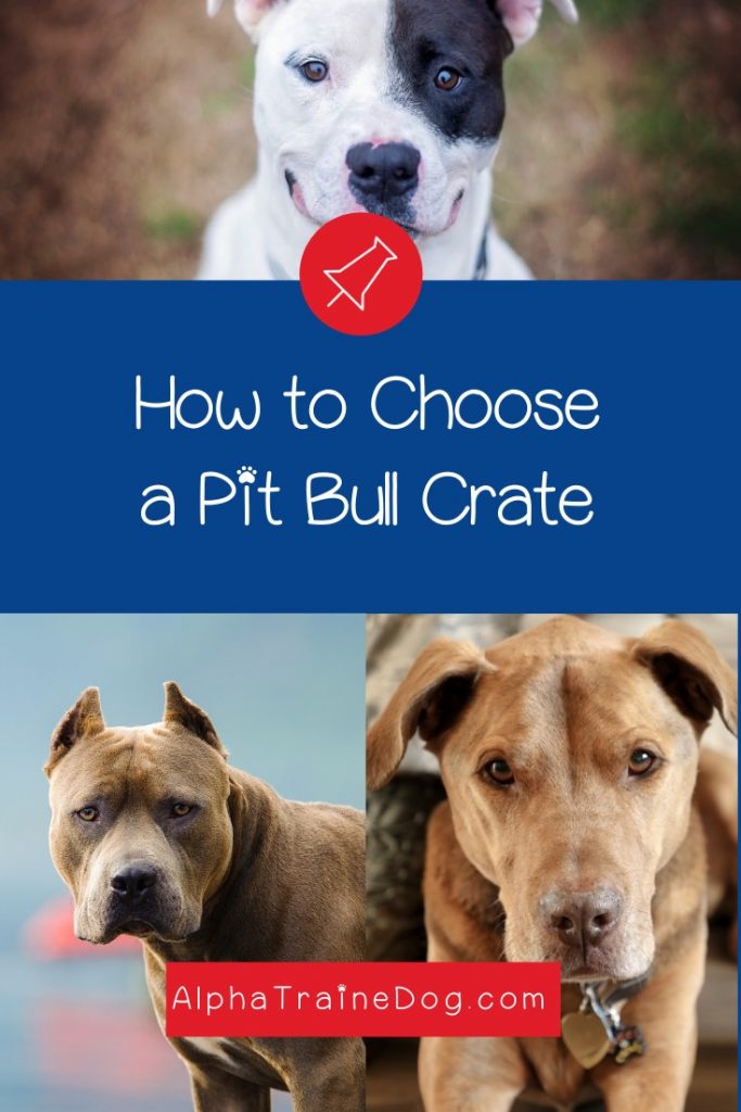 What are the best crates for pit bulls? What size should I get? Do I need an indestructible crate? Read on for the answers + check out our top 5 picks!
