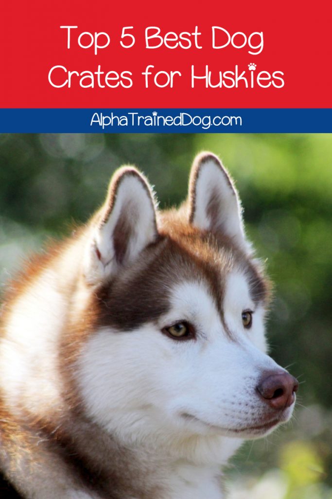 Best dog crate for hotsell siberian husky