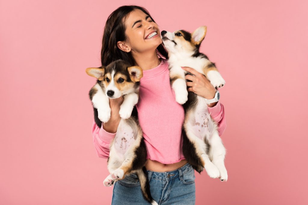 Can you imagine training two puppies at once? If you need to do more than imagine it, read on for 7 tricks to make it work!