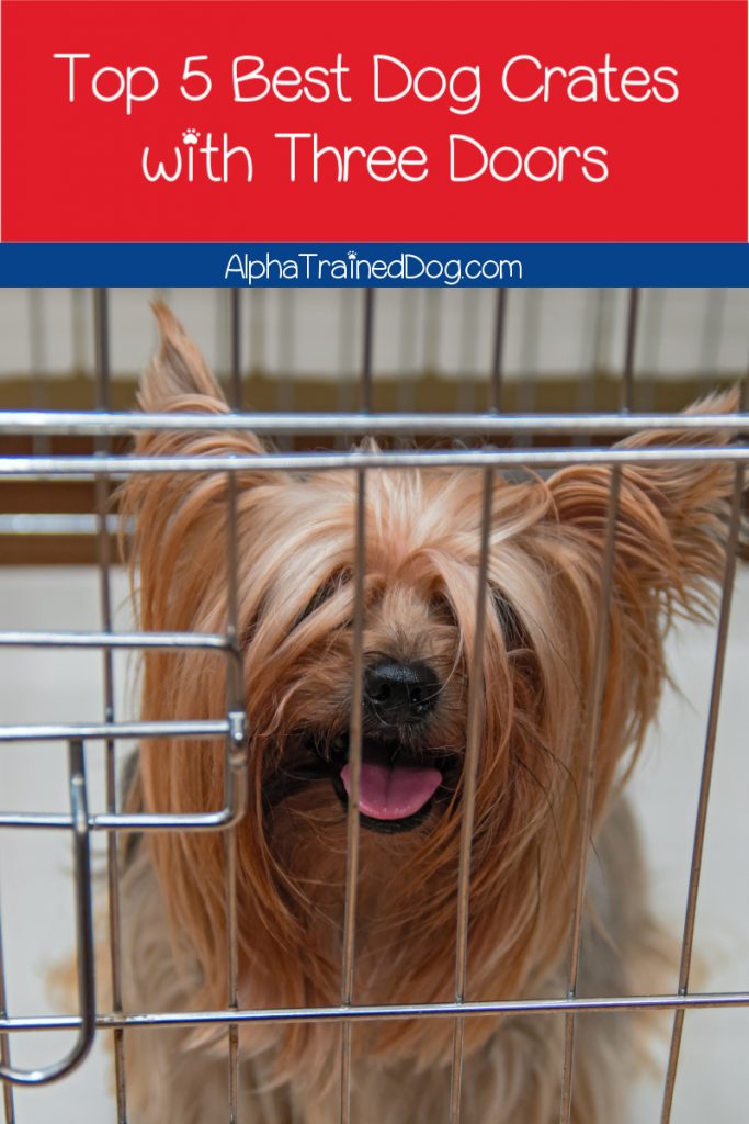 What are the best 3-door dog crates? Why would you even want a crate with three doors? Read on to find out the answers to both questions!