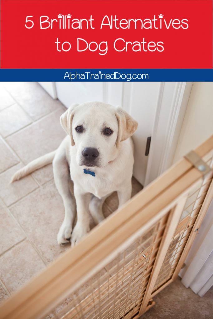 Sometimes, you just need alternatives to dog crates. Whether your dog hates it or you just don't want to use one, these 5 alternatives will help!