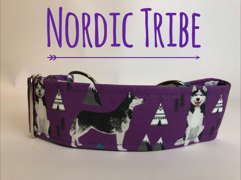 How to Choose the Best Training Collar for a Siberian Husky Alpha Trained Dog