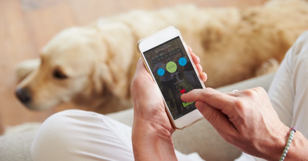 Looking for the best smartphone apps to help you with dog training? We narrowed down thousands of options into the top 8. Take a look!