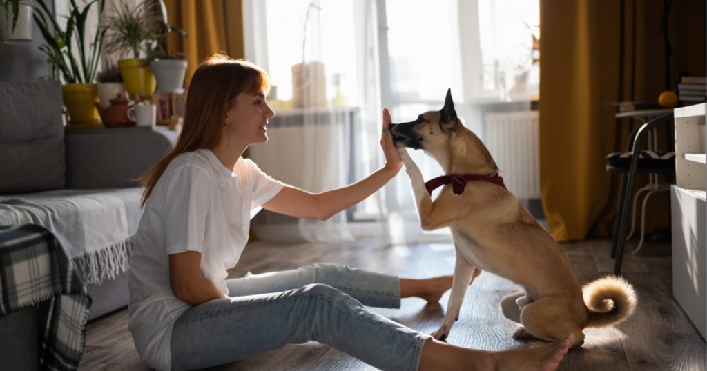 puppy training classes teach commands, manners and more