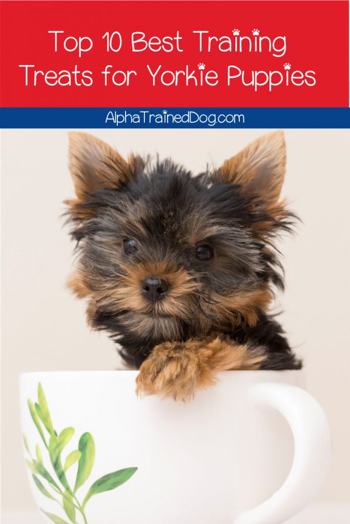 Top 10 Best Training Treats For Yorkie Puppies Alpha Trained Dog