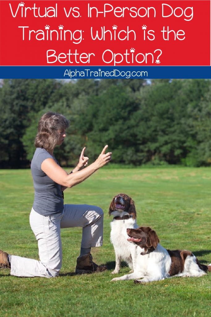 Virtual dog training vs in-person dog training: which one is more effective? Read on for our complete comparison to find out!