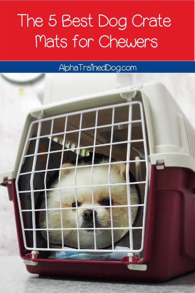 Looking for the best dog crate mats for chewers? We've got you covered! Find out what features to look for, then check out 5 we recommend!