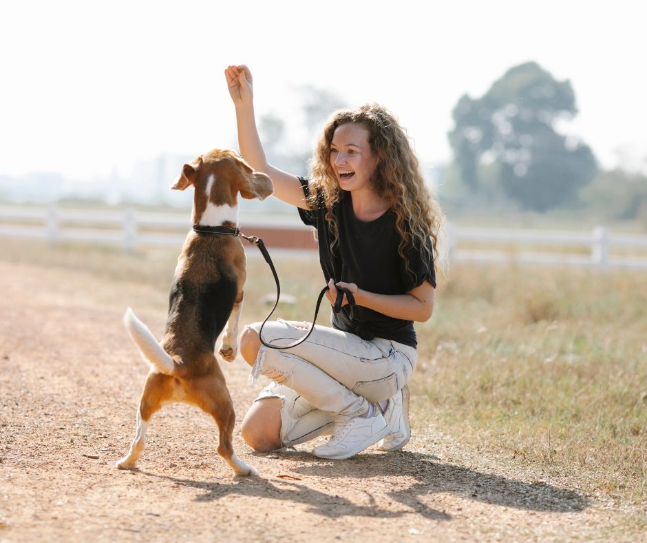 woman training her dog